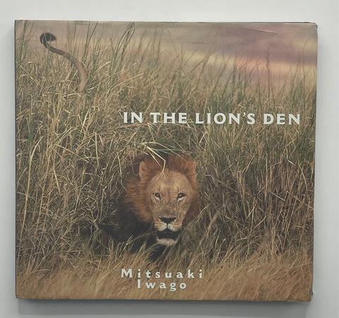 In The Lion’s Den