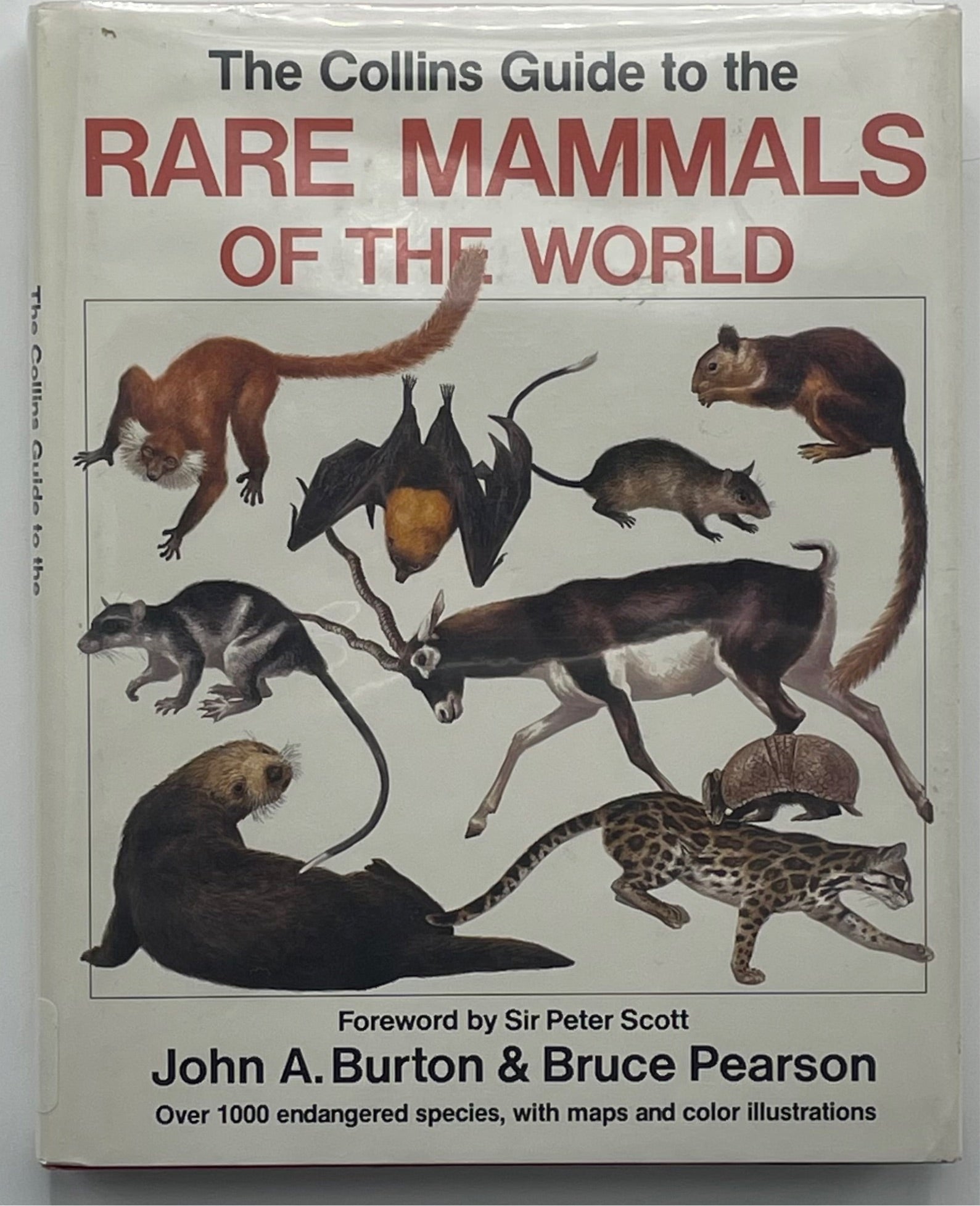 Rare Mammals of the World