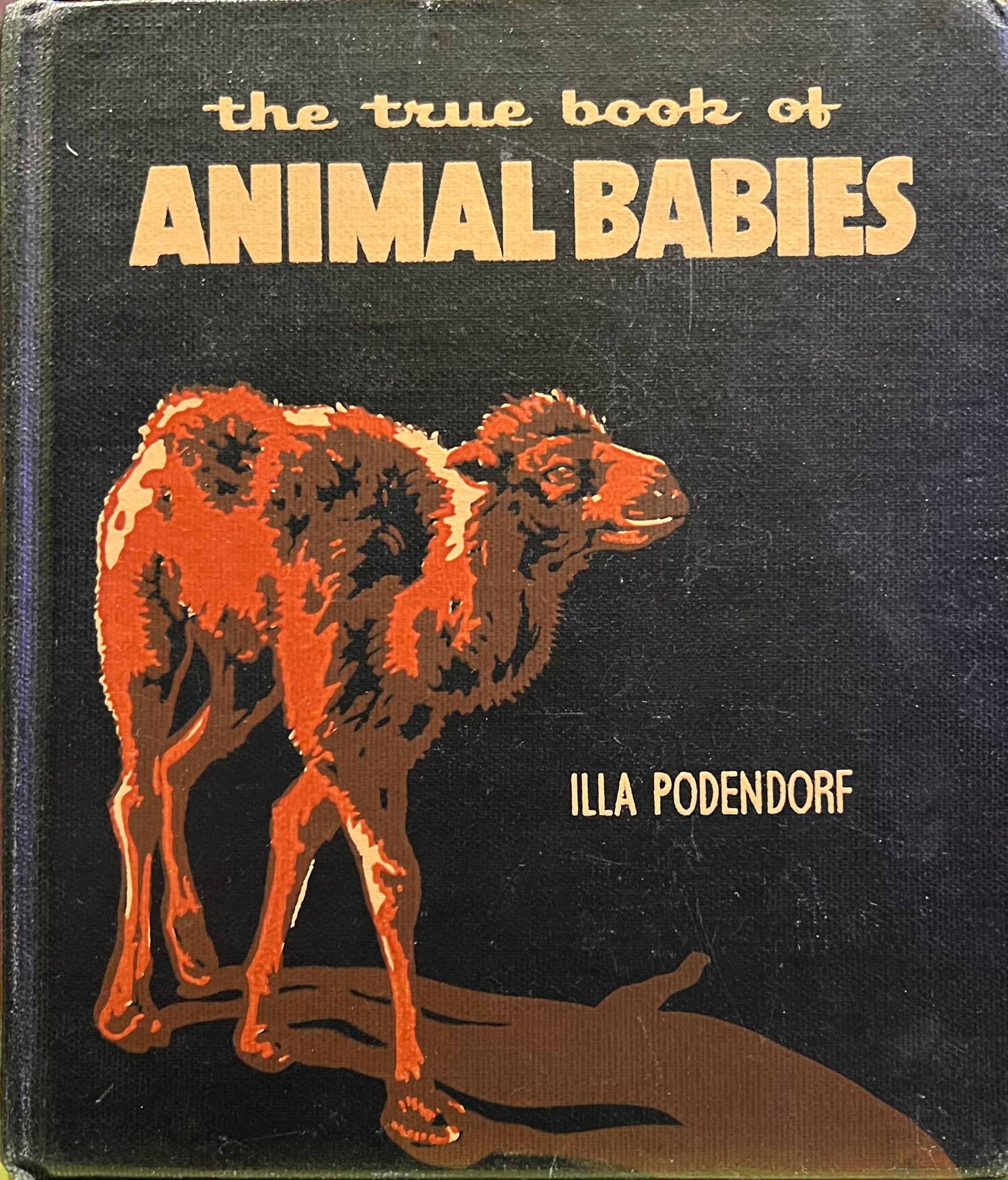The True Book of Animal Babies, Illa Podendorf