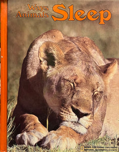 Ways Animals Sleep, Jane R. McCauley