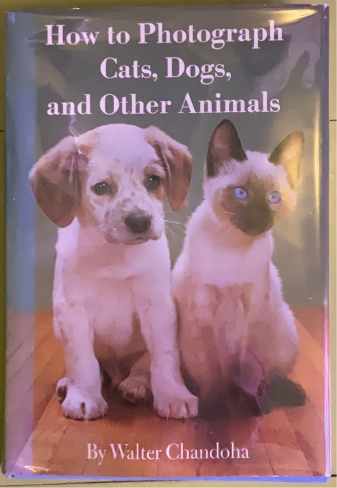 How to Photograph Cats, Dogs, and Other Animals