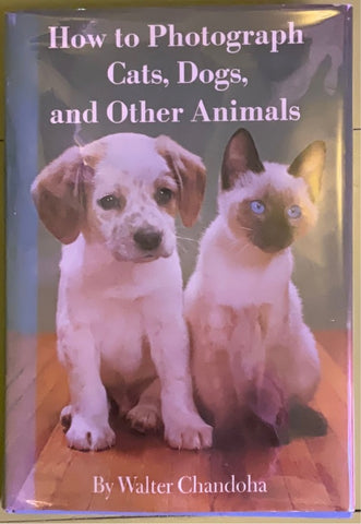 How to Photograph Cats, Dogs, and Other Animals