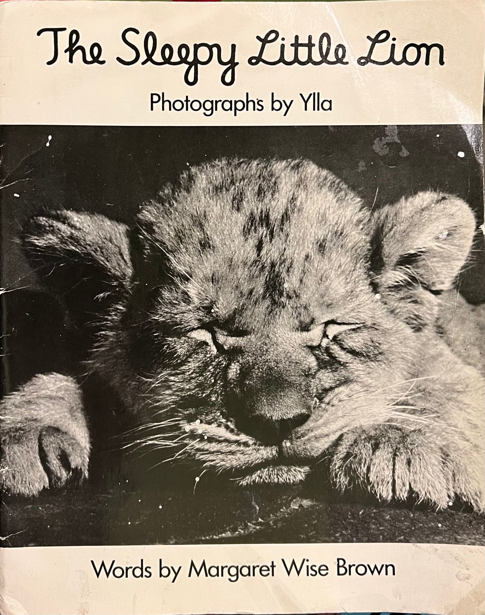 The Sleepy Little Lion, Ylla and Margaret Wise Brown
