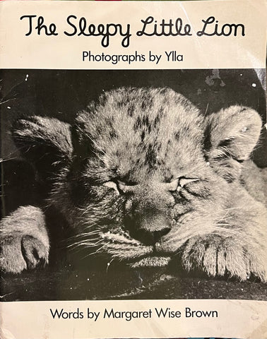 The Sleepy Little Lion, Ylla and Margaret Wise Brown