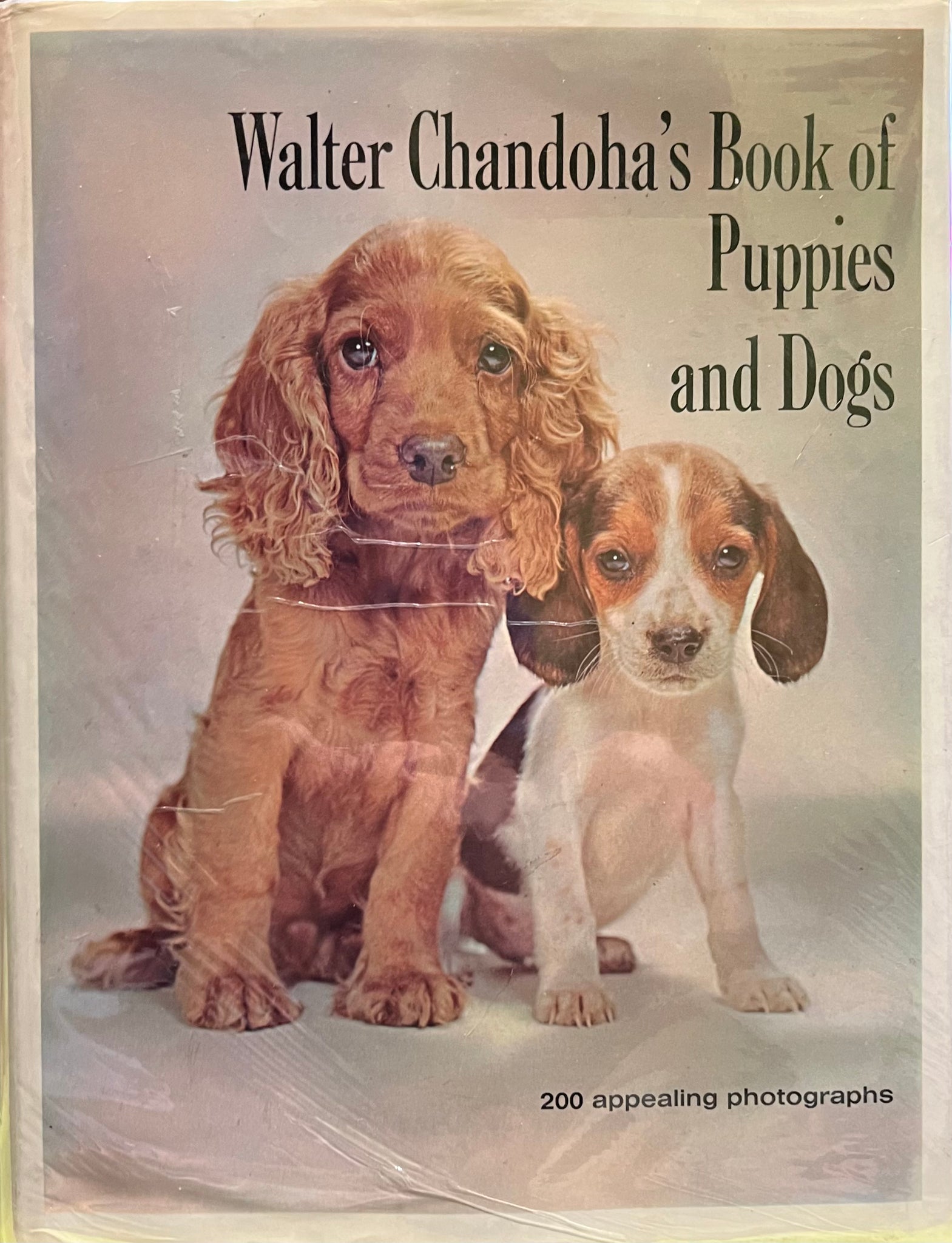 Walter Chandoha’s Book of Puppies and Dogs